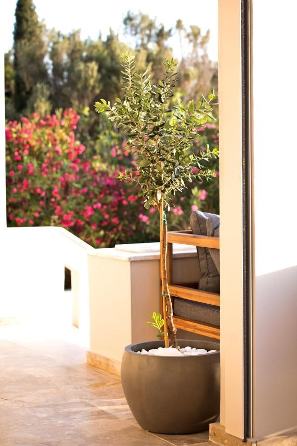 Horizon Hotel Kalymnos Myrties Buitenkant foto